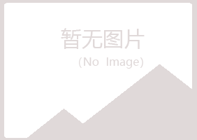 白银平川静曼化学有限公司